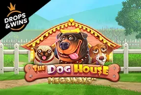 The Dog House